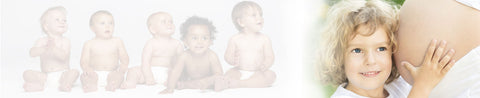 Prenatal Development Module